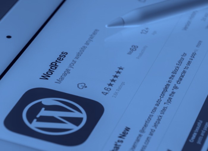 Hosting for Your WordPress Website